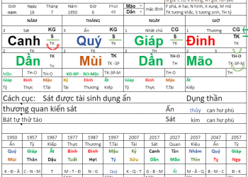 Lá số tứ trụ ( Lá số Bát Tự )