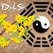 Gieo quẻ Mai Hoa miễn phí