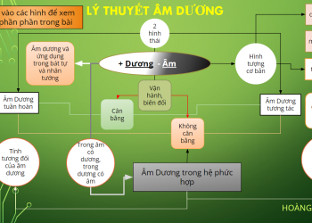 Âm dương: Lý thuyết và trắc nghiệm